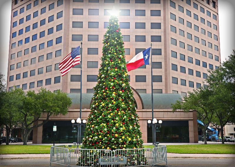 Decorated Christmas tree stands at edge of DeLeon Plaza across from One O'Connor building