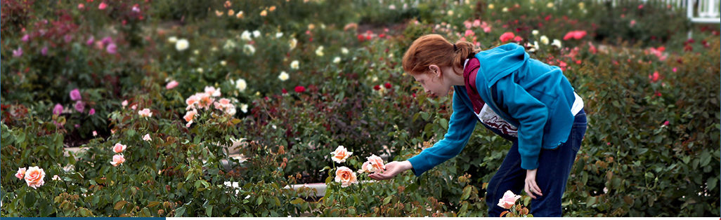Girl Looking at Flowers at Park