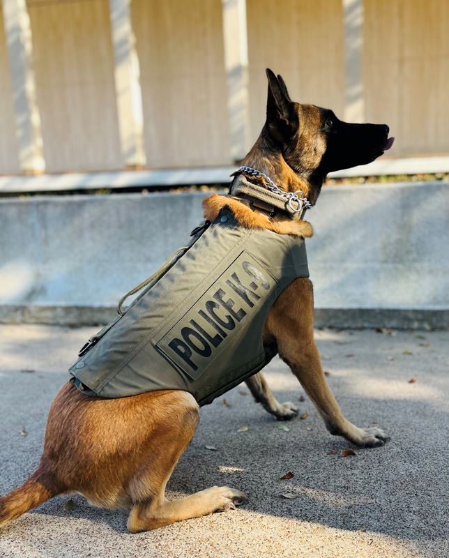 Police K9 Hummer wearing a protective vest