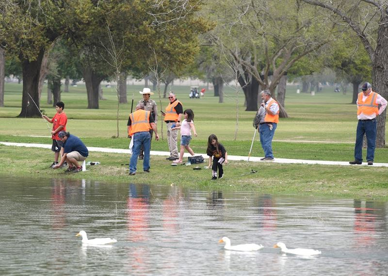 Kids fish in the duck pond accompanied by adults in safety vests while ducks swim past